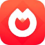 鴻蒙版萬戶evoPortal7正式上架  助力近20家央國企安全高效辦公