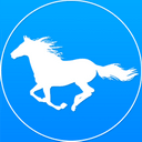 浙江啦啦隊上新：好喜歡雨后的杭州 非賽季想拍什么就拍什么