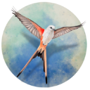 大灣區(qū)科學(xué)論壇會(huì)址項(xiàng)目進(jìn)入裝修階段 一期計(jì)劃明年建成